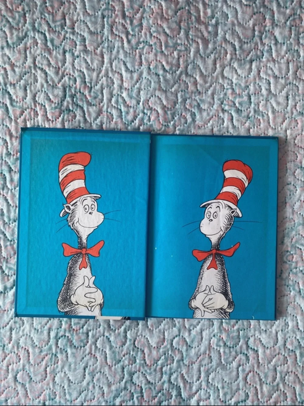 Dr. Seuss cat hat